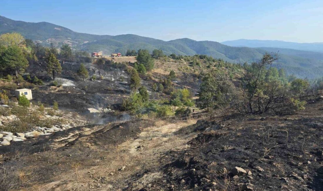 Bursa’nın Orhaneli ilçesinde piknik yapan bir ailenin mangalıdan sıçradığı iddia