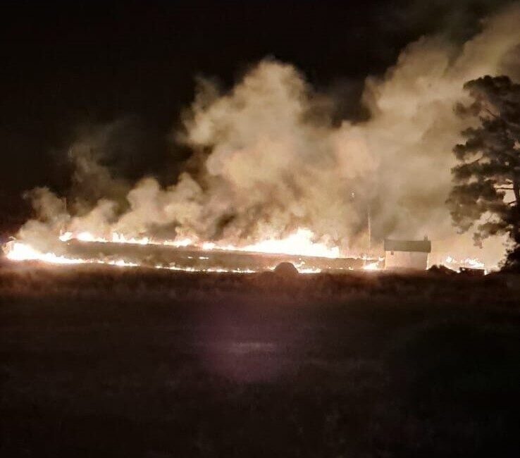 Muğla’nın Marmaris ilçesinde ormanlık alana yakın bir mesafede çıkan yangın