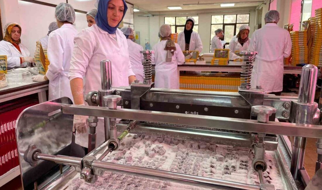 Bilecik’in Osmaneli ilçesinde üretilen ayva lokumu, yeniden Türkiye genelinde satışa