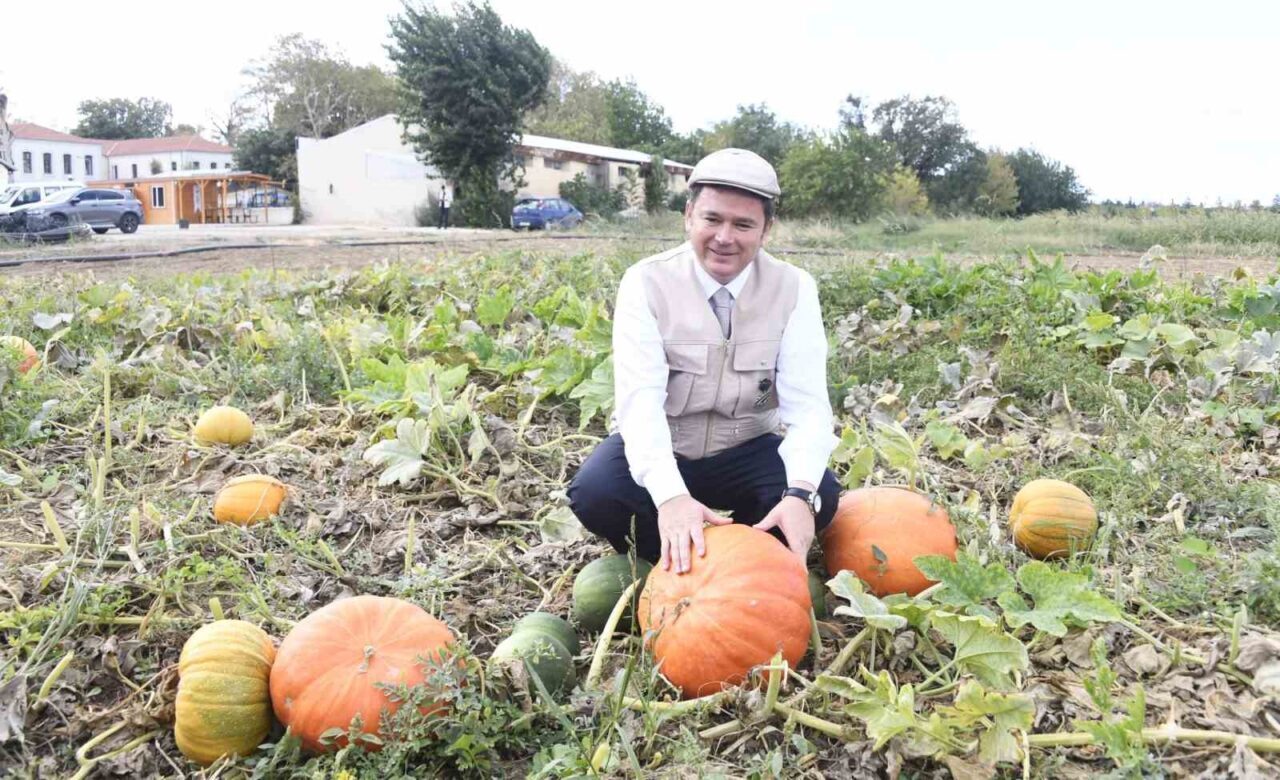 Osmangazi Belediyesi iştiraki olan Gazi Tarım A.Ş’nin tarım ilacı kullanmadan