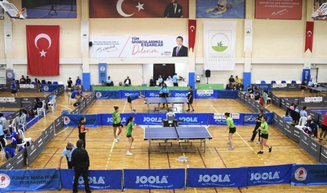 Türkiye Masa Tenisi Federasyonu’nun faaliyet programında yer alan Navek 3.