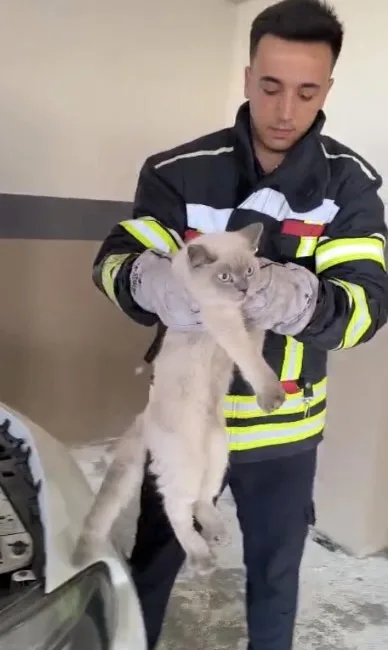 Osmaniye’de otomobilin motor kısmına sıkışan kedi, itfaiye ekiplerinin müdahalesiyle kurtarıldı.