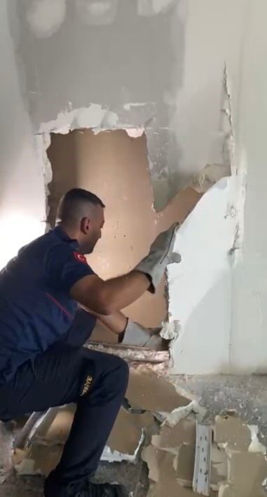 Osmaniye’de alçı panel duvarın içine sıkışan yavru kedi, itfaiye ekiplerince