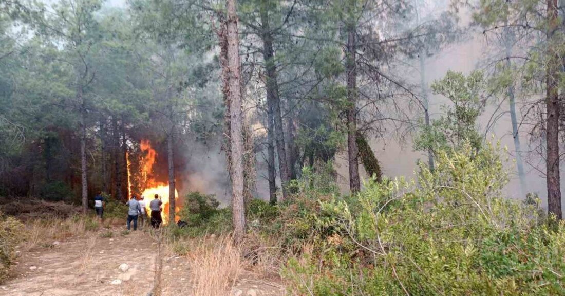 Osmaniye’nin Sumbas ilçesinde orman yangını başladı. Edinilen bilgiye göre Sumbas