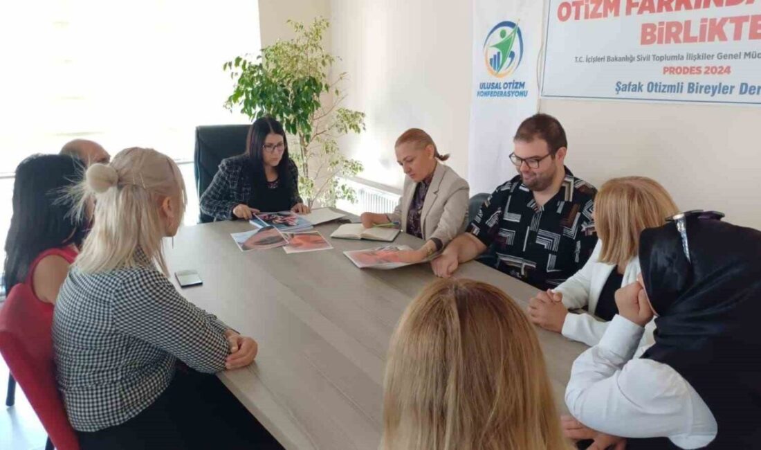 Otizmli bireylerin toplumsal yaşamda karşılaştıkları sorunlar, çözüm önerileri ve uygulanması