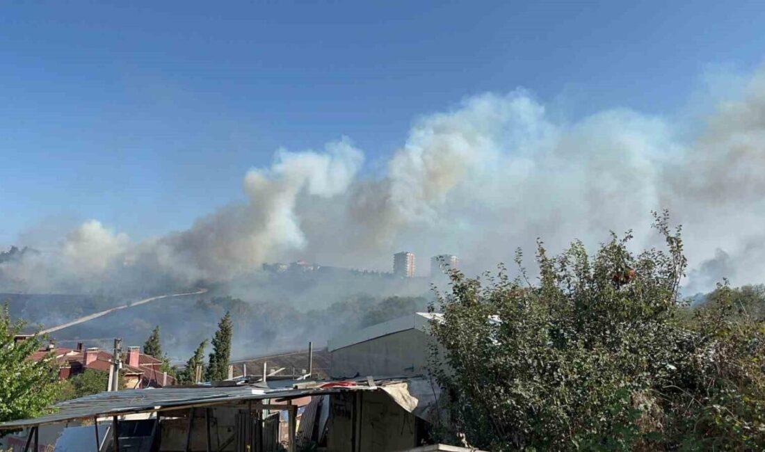 Tekirdağ’ın Çerkezköy ilçesinde otluk alanda çıkan yangın, rüzgarın etkisiyle büyüyerek