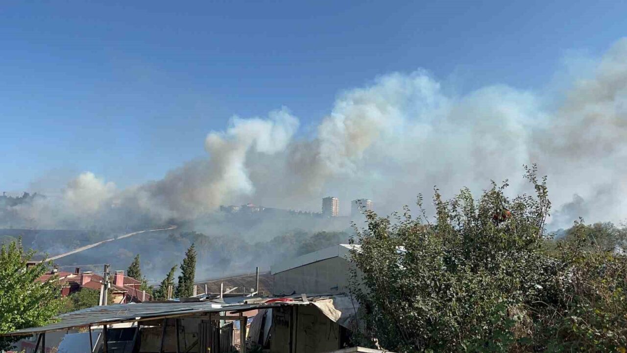 Tekirdağ’ın Çerkezköy ilçesinde otluk alanda çıkan yangın, rüzgarın etkisiyle büyüyerek