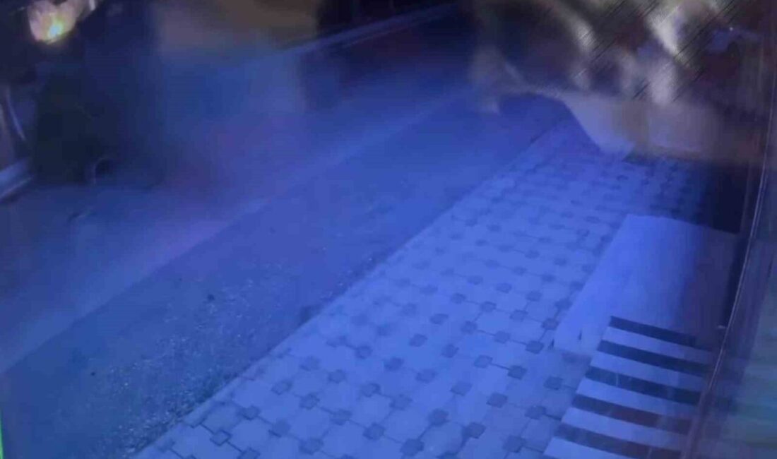 Hatay’da meydana gelen kazada kontrolden çıkarak ağaca çarpan otomobildeki 3