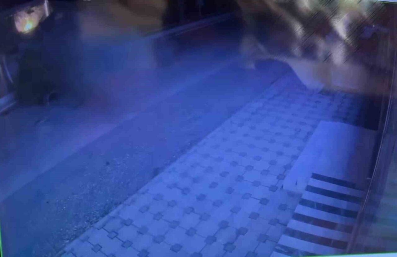 Hatay’da meydana gelen kazada kontrolden çıkarak ağaca çarpan otomobildeki 3