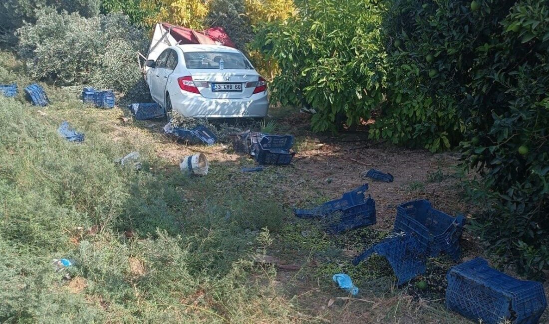 Mersin’in Silifke ilçesinde bahçede hasat yapan işçilerin arasına otomobil daldı.