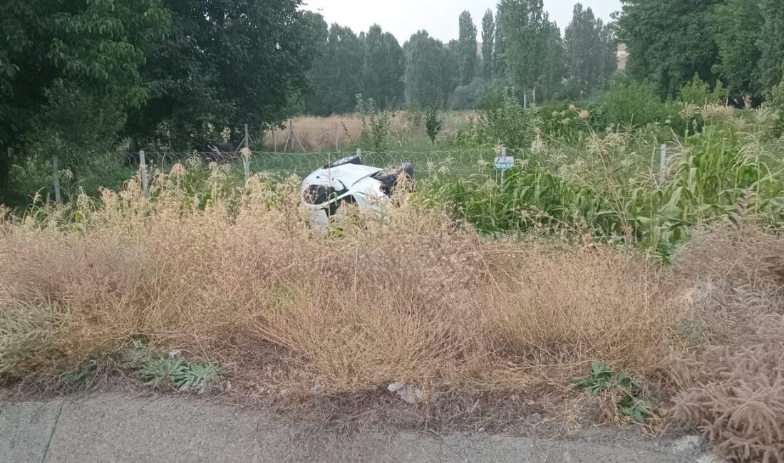 Konya’nın Beyşehir ilçesinde mısır ekili araziye devrilen otomobildeki 2 kişi