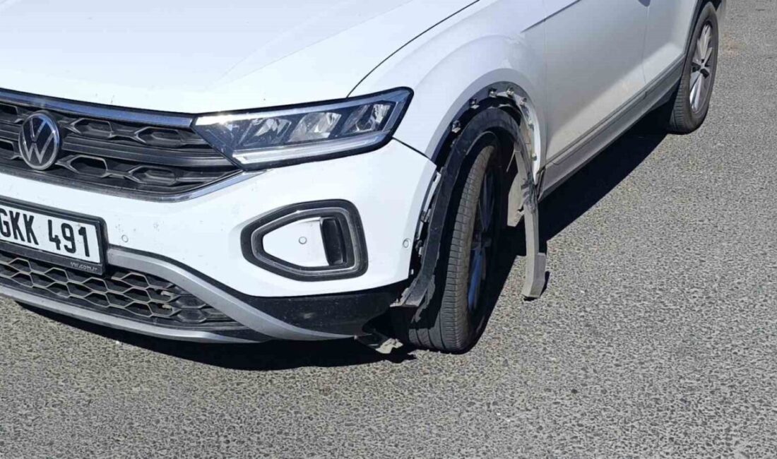 Antalya’nın Manavgat ilçesinde otomobilin çarptığı köpek telef oldu. Olay, Manavgat-Alanya