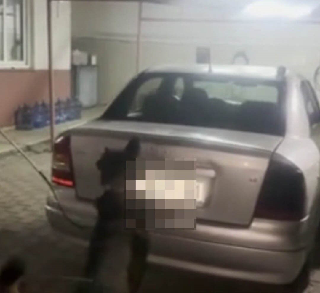 Adana’da bir aracın LPG tankında 4 kilo skunk bulundu, 6