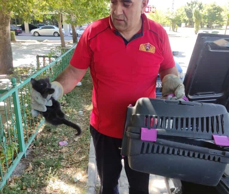 Erzincan’da otomobilin kaput kısmında sıkışan yavru kedi itfaiye ekiplerince kurtarıldı.