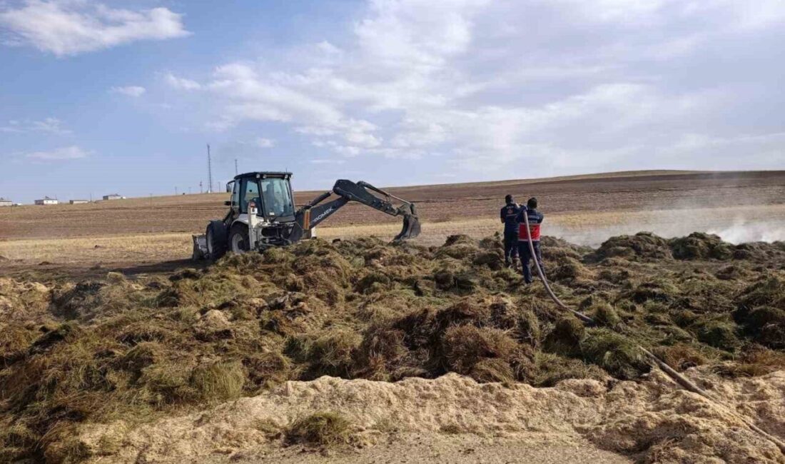 Van’ın Özalp ilçesinde 3 saatlik çalışmasıyla söndürülen yangında 700 bağ