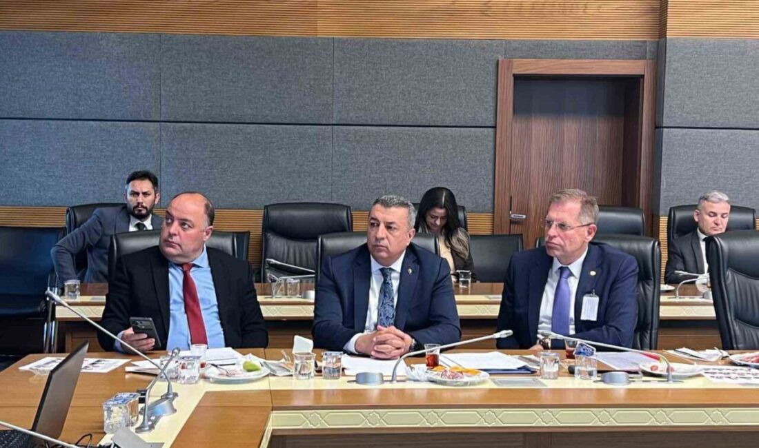 Malatya Ticaret Borsası Yönetim Kurulu Başkanı Ramazan Özcan, Malatya, bölge