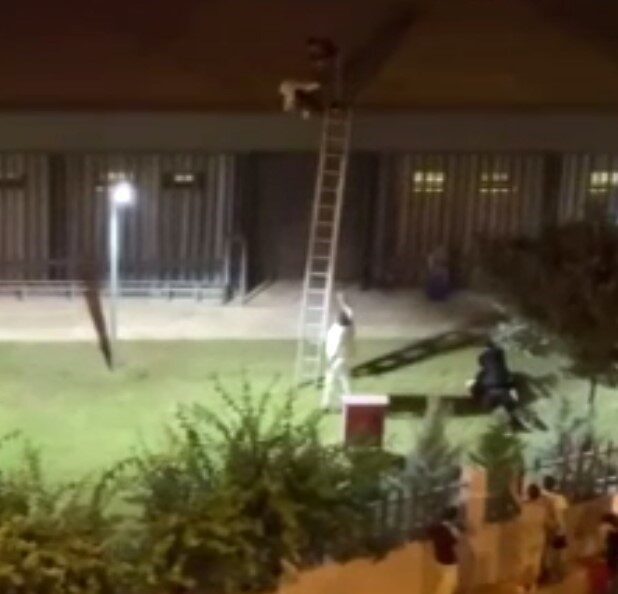 Mersin’in Mezitli ilçesinde düzenlenen konseri, binanın damına çıkarak izlemeye çalışan