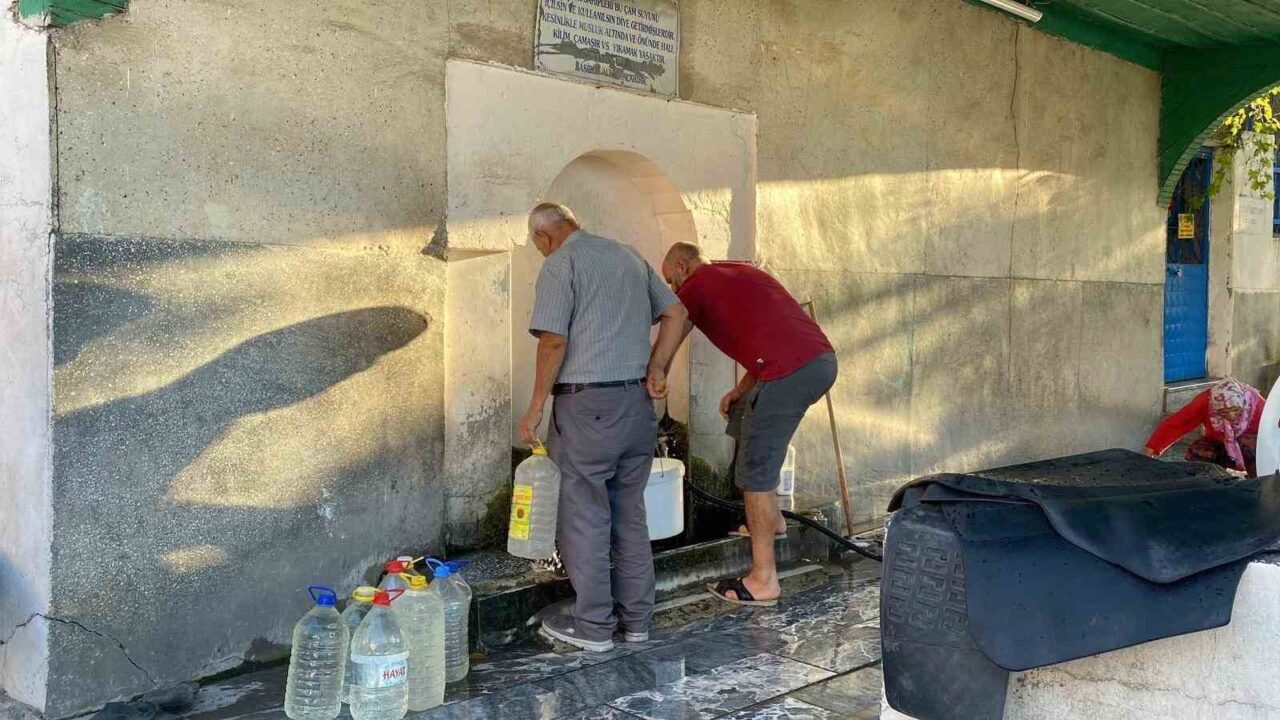 Eskişehir’de vatandaşlar daha ekonomik olması sebebi ile halı ve benzeri