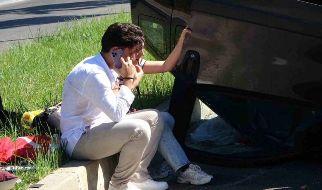 Antalya’nın Manavgat ilçesinde seyir halindeki hafif ticari araç, palmiyeye çarparak