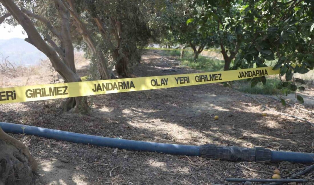 Hatay’da alacak verecek tartışmasında hemşehrisini narenciye bahçesinde satırla katleden yabancı