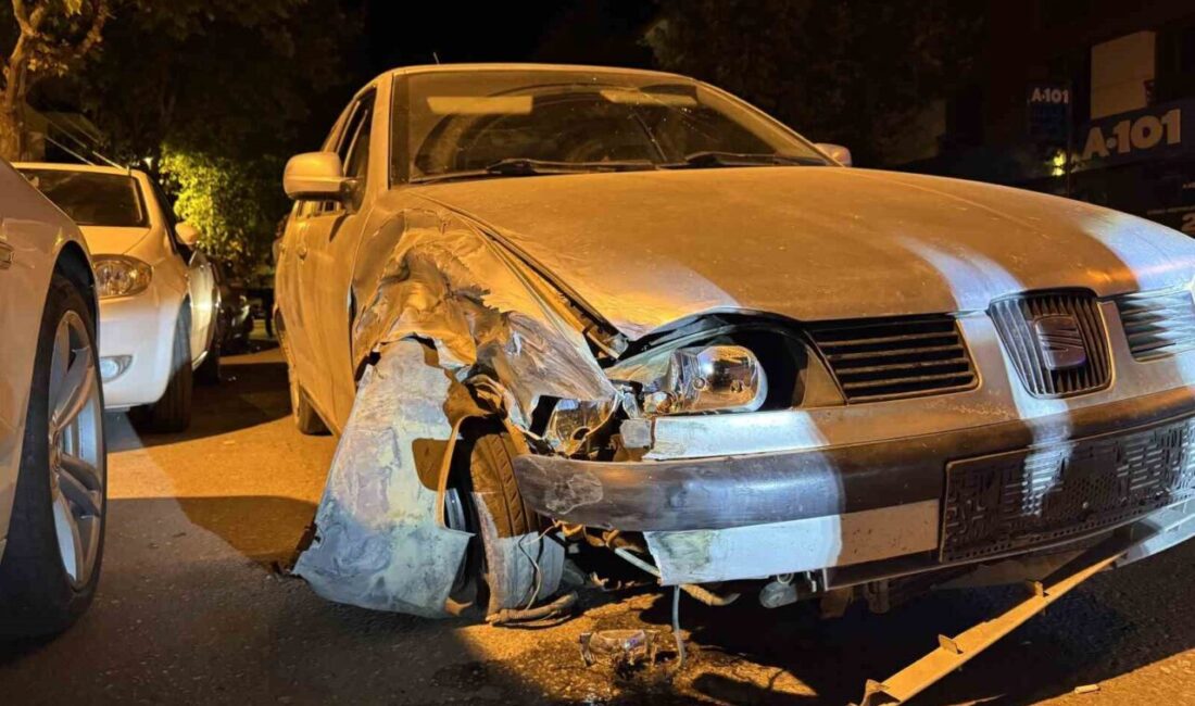 Denizli’de seyir halindeki otomobil sürücüsü direksiyon hakimiyetini kaybetmesi sonucu park