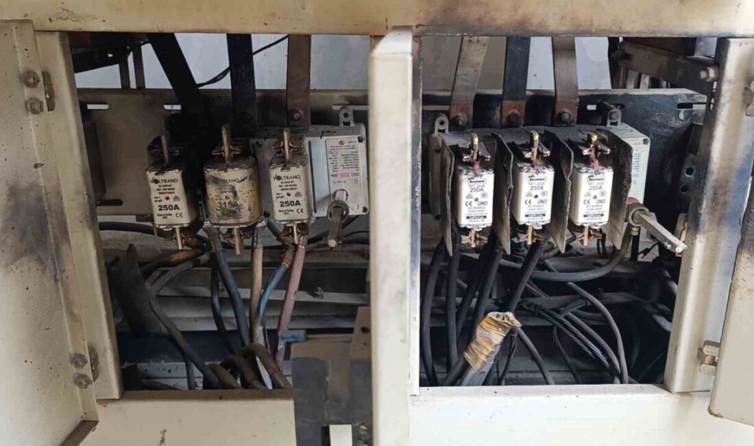 Antalya’nın Manavgat ilçesinde park içerisinde bulunan ve Orhangazi ile Güllük