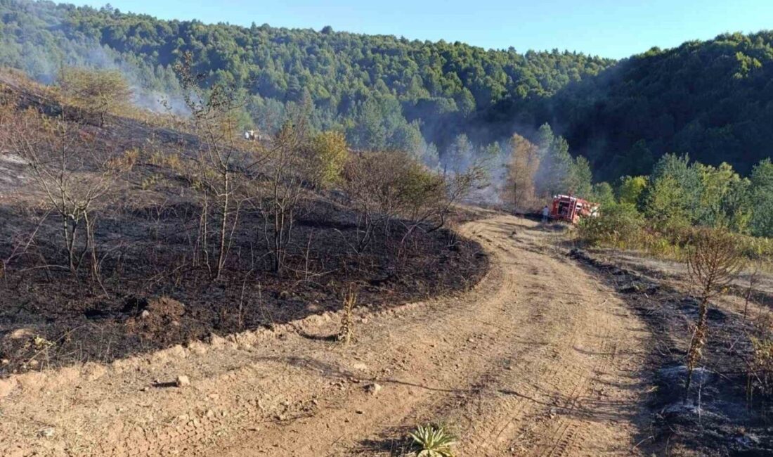 Bilecik’in Pazaryeri ilçesinde çıkan orman yangını ekiplerin zamanında müdahalesi ile