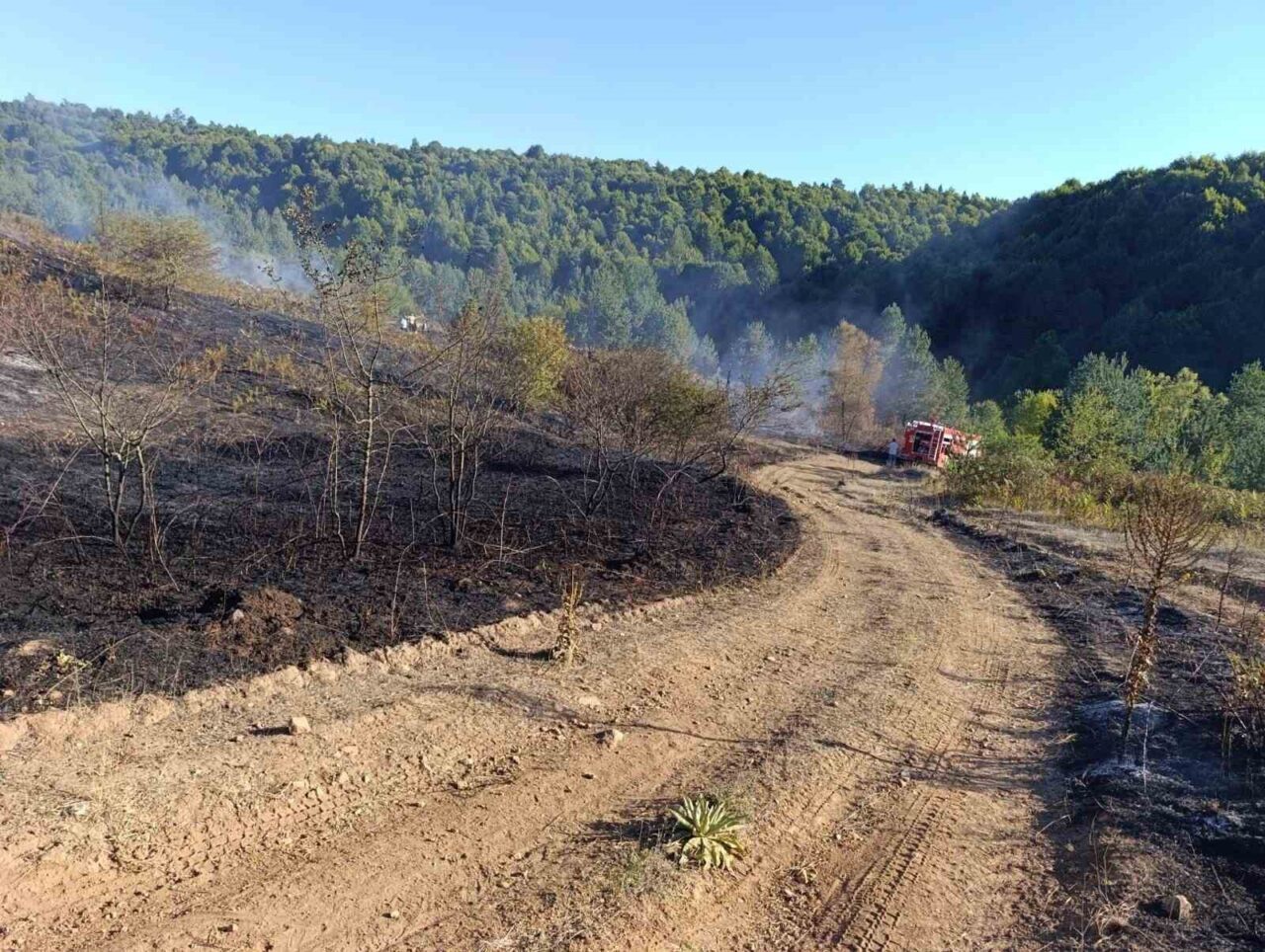 Bilecik’in Pazaryeri ilçesinde çıkan orman yangını ekiplerin zamanında müdahalesi ile