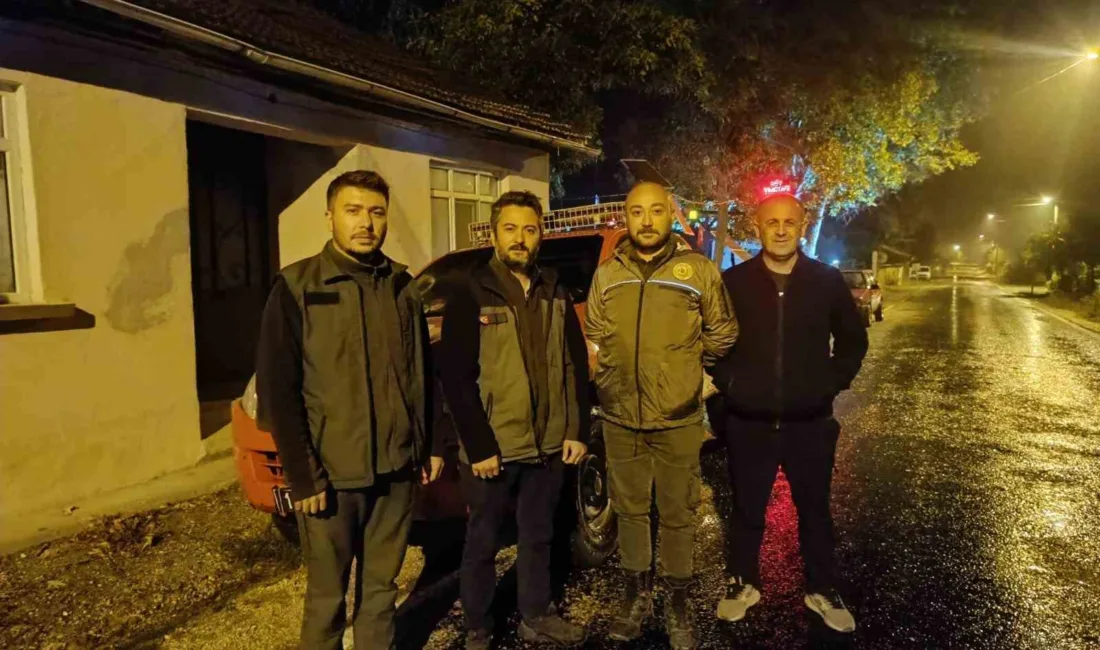 Bozüyük Orman İşletme Müdürlüğüne bağlı Pazaryeri Elmalı Orman İşletme Şefliği