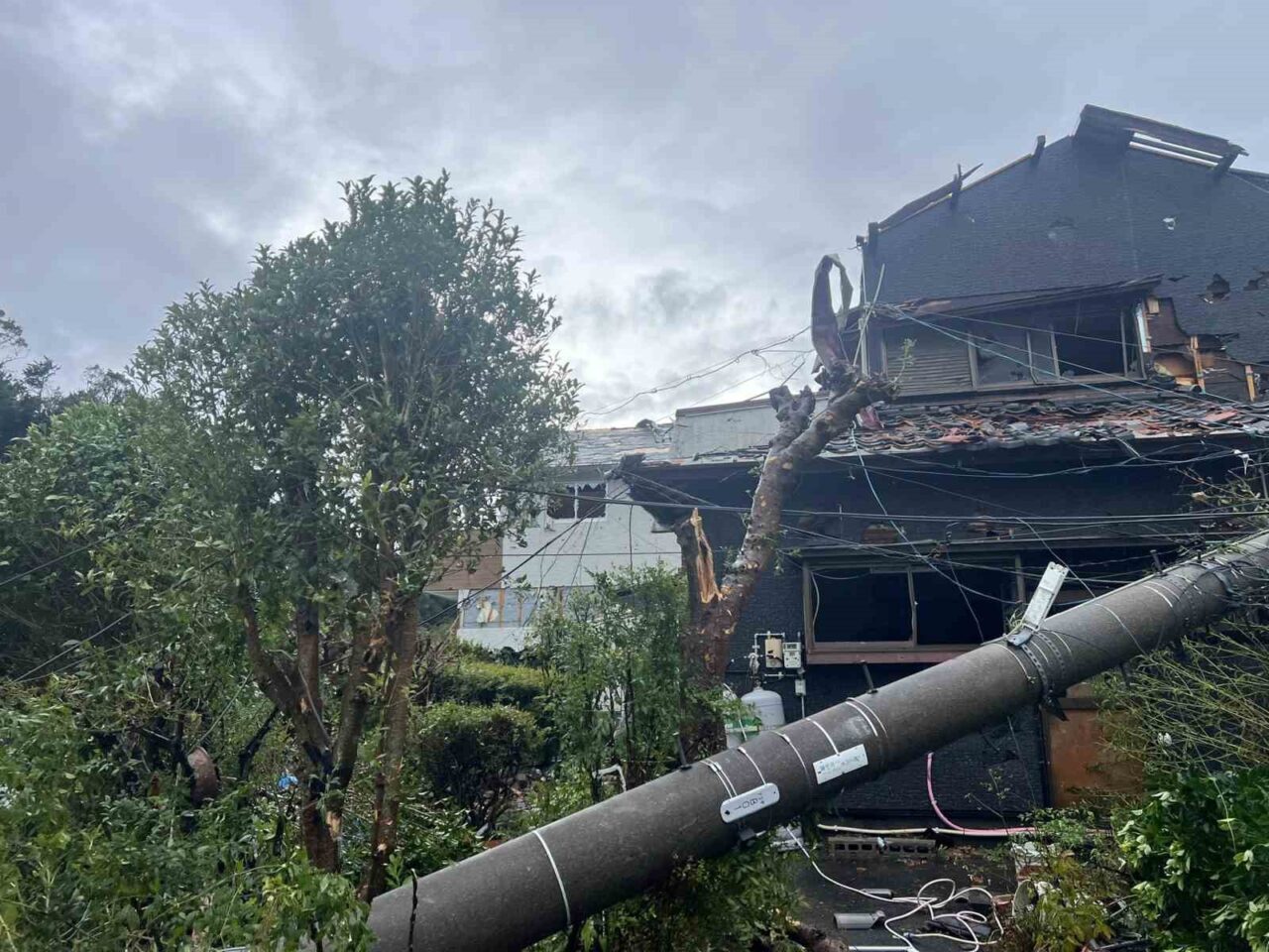 Japonya’da etki gösteren Peipah Tayfunu’nun neden olduğu şiddetli rüzgar ve