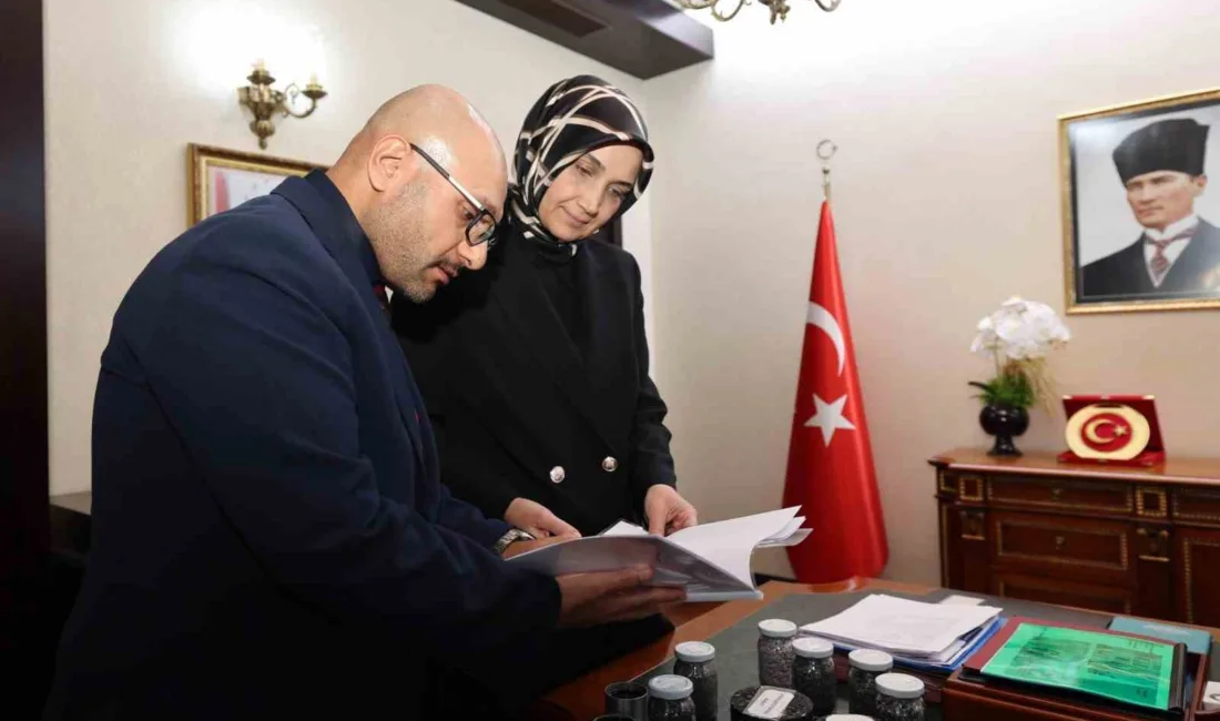 Afyonkarahisar İl Özel İdaresi tarafından plastik atıklardan asfalt üretimi yapılması