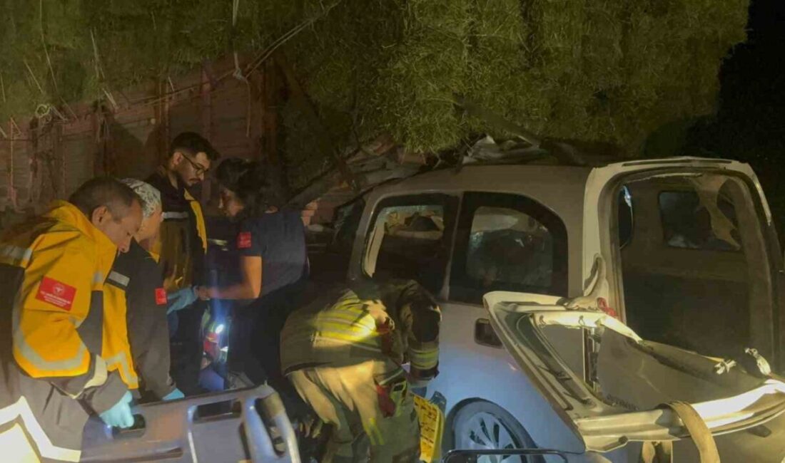 Ankara’nın Polatlı ilçesinde, hafif ticari aracın kamyona arkadan çarptığı kazada