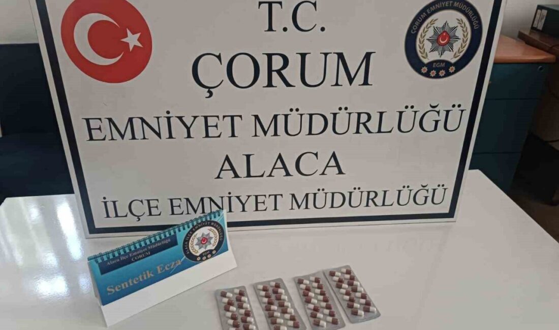 Çorum’un Alaca ilçesinde polis ekiplerince yapılan denetimlerde, şüpheli hareketlerde bulunan