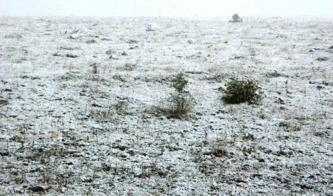 Ardahan’ın Posof ilçesi eylül ayında karla buluştu. Posof vadisi yeşilliğini