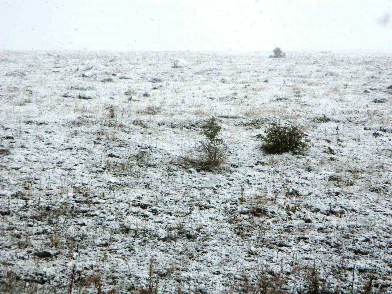 Ardahan’ın Posof ilçesi eylül ayında karla buluştu. Posof vadisi yeşilliğini