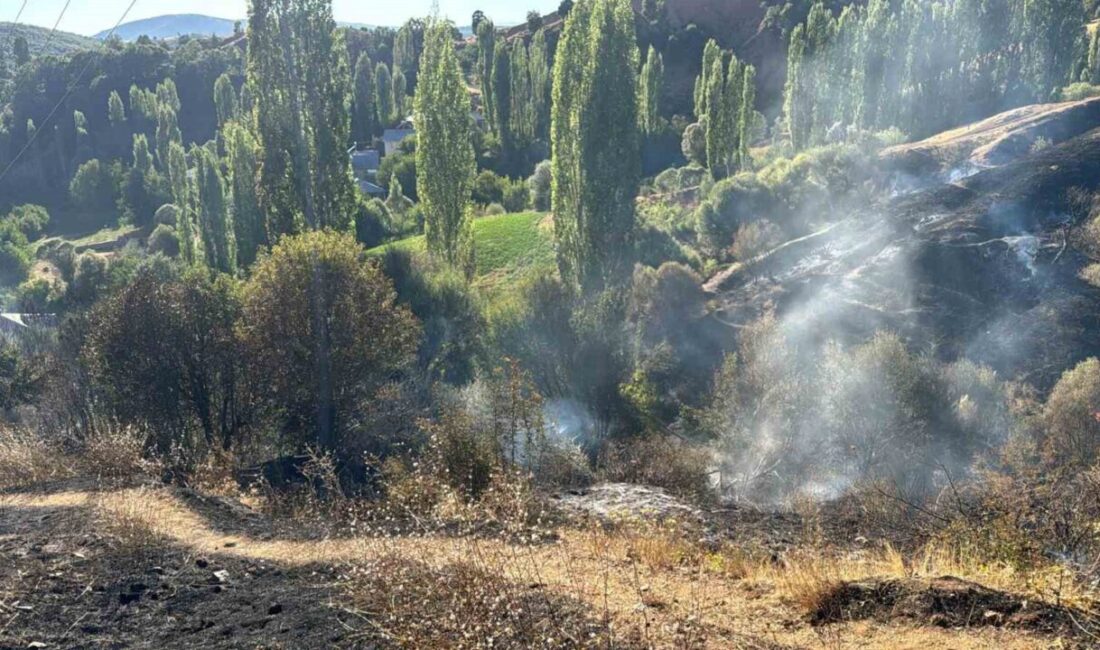 Malatya’nın Pütürge ilçesinde bir bahçede çıkan yangın, itfaiye ekipleri tarafından