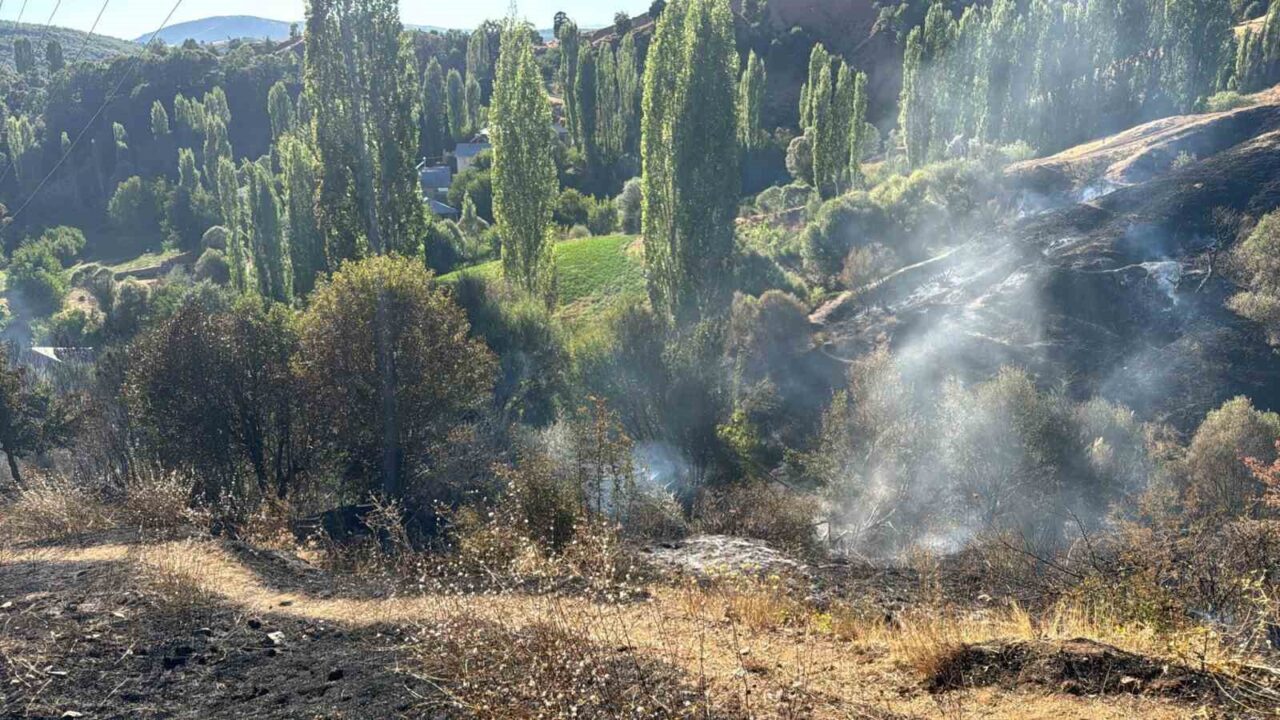 Malatya’nın Pütürge ilçesinde bir bahçede çıkan yangın, itfaiye ekipleri tarafından