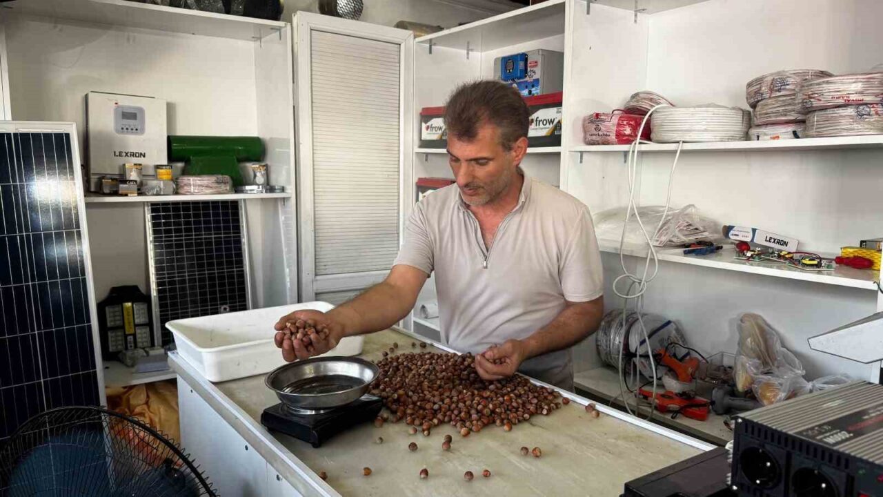 Zonguldak’ın Alaplı ilçesinde fındık rekoltesindeki düşüş, serbest piyasada artış yaşandı.