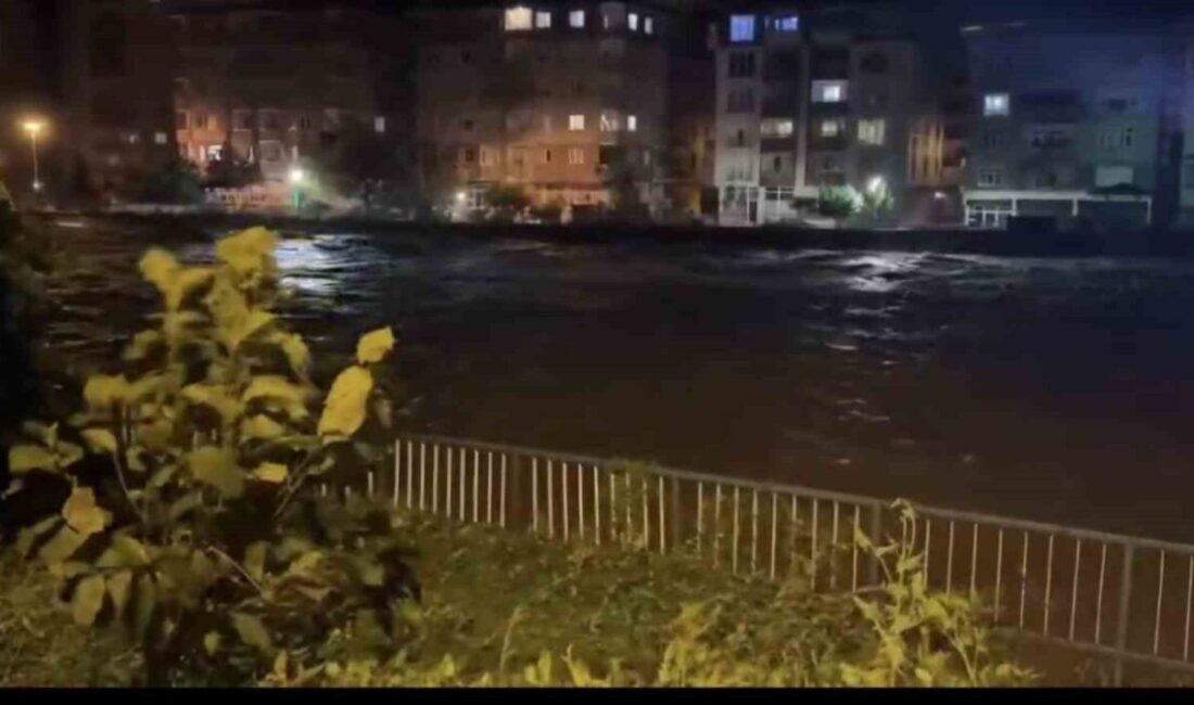 Doğu Karadeniz bölgesinde 2 gündür etkili olan yağışlar Rize’de bu
