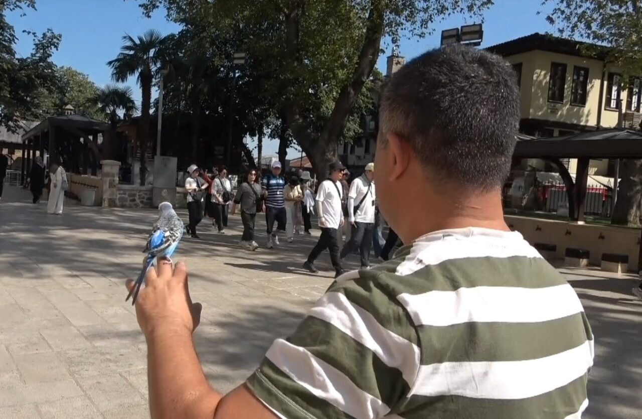 Bursa’da sahibinin omzunda ve elinde kapalı çarşıyı dolaşan muhabbet kuşu,