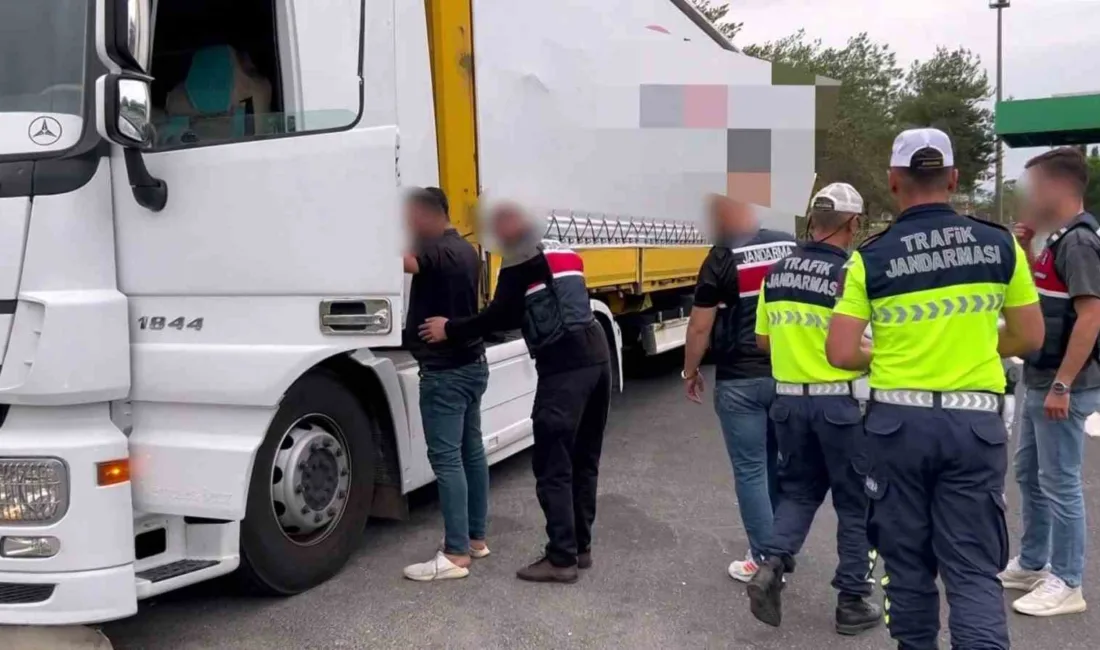 Sakarya’da jandarma ekiplerince kaçakçılıkla mücadele çerçevesinde düzenlenen operasyonda, piyasa değeri