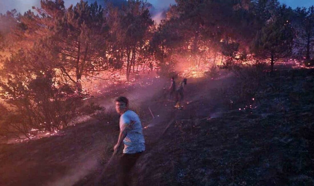 Sakarya’nın Geyve ilçesinde makilik alanda çıkan yangın, ekiplerin müdahalesi ile