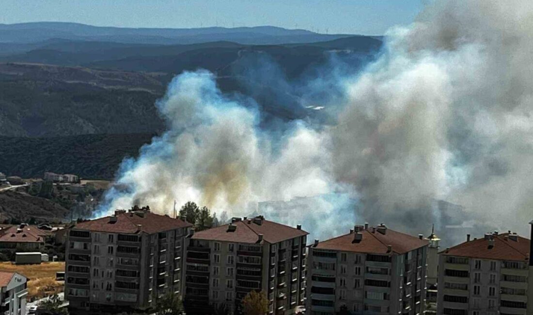 Bilecik’te salça ateşinden makilik alana sıçrayan kıvılcımların sebep olduğu yangında
