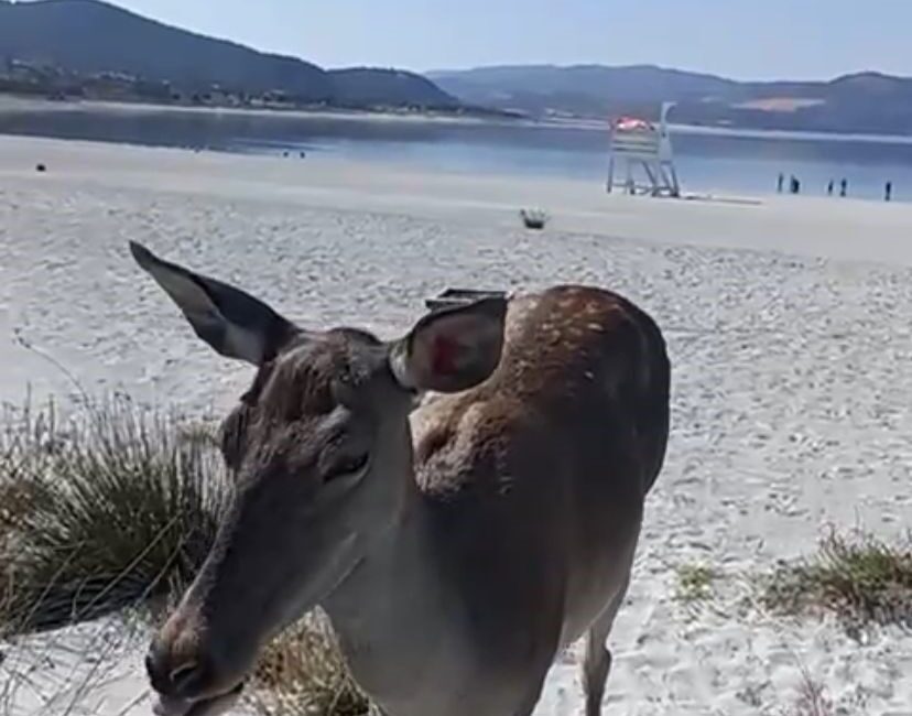 Doğa Koruma ve Milli Parklar ile Tarım ve Orman Bakanlığı’nın