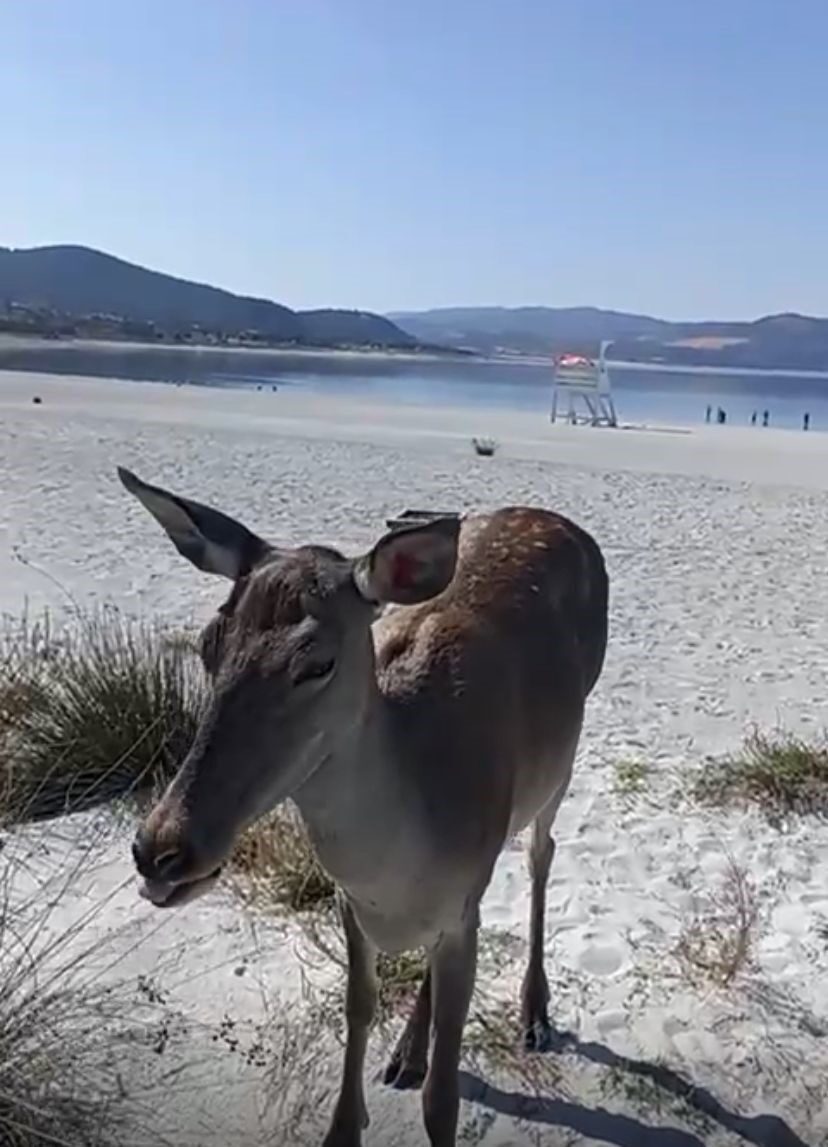 Doğa Koruma ve Milli Parklar ile Tarım ve Orman Bakanlığı’nın