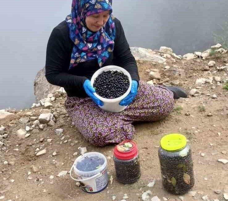 Trabzon’un Şalpazarı ilçesinin yüksek rakımlı yaylaları, sonbaharın gelişiyle birlikte adeta