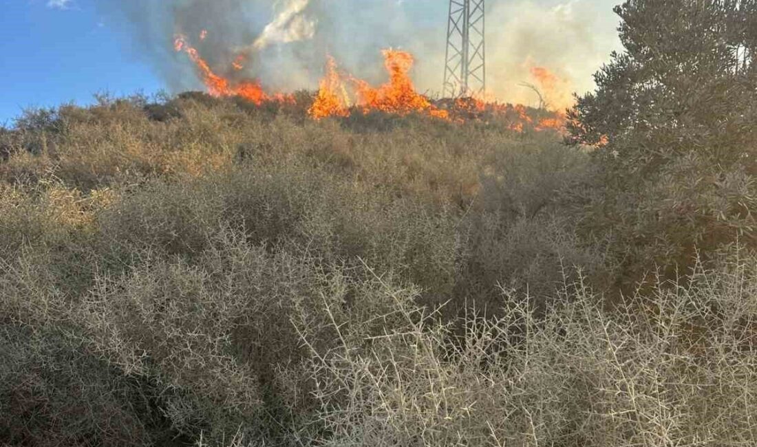 Hatay’ın Samandağ ilçesinde boş bir arazide çıkan yangın, büyümeden itfaiye