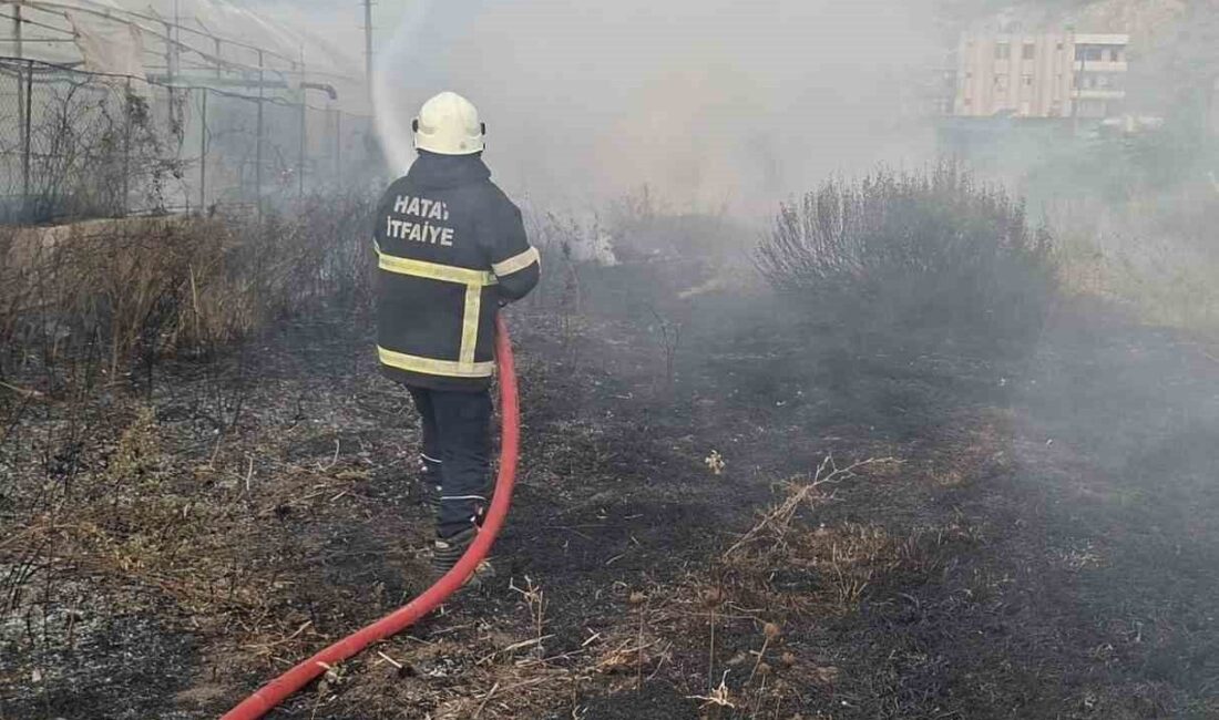 Hatay’ın Samandağ ilçesinde bahçede çıkan yangın, seralara sıçramadan söndürüldü. Yangın,