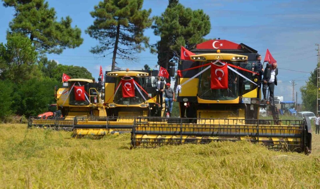 Samsun’un Alaçam ilçesi Göçkün Mahallesi’nde bu yıl ilki düzenlenen “1.