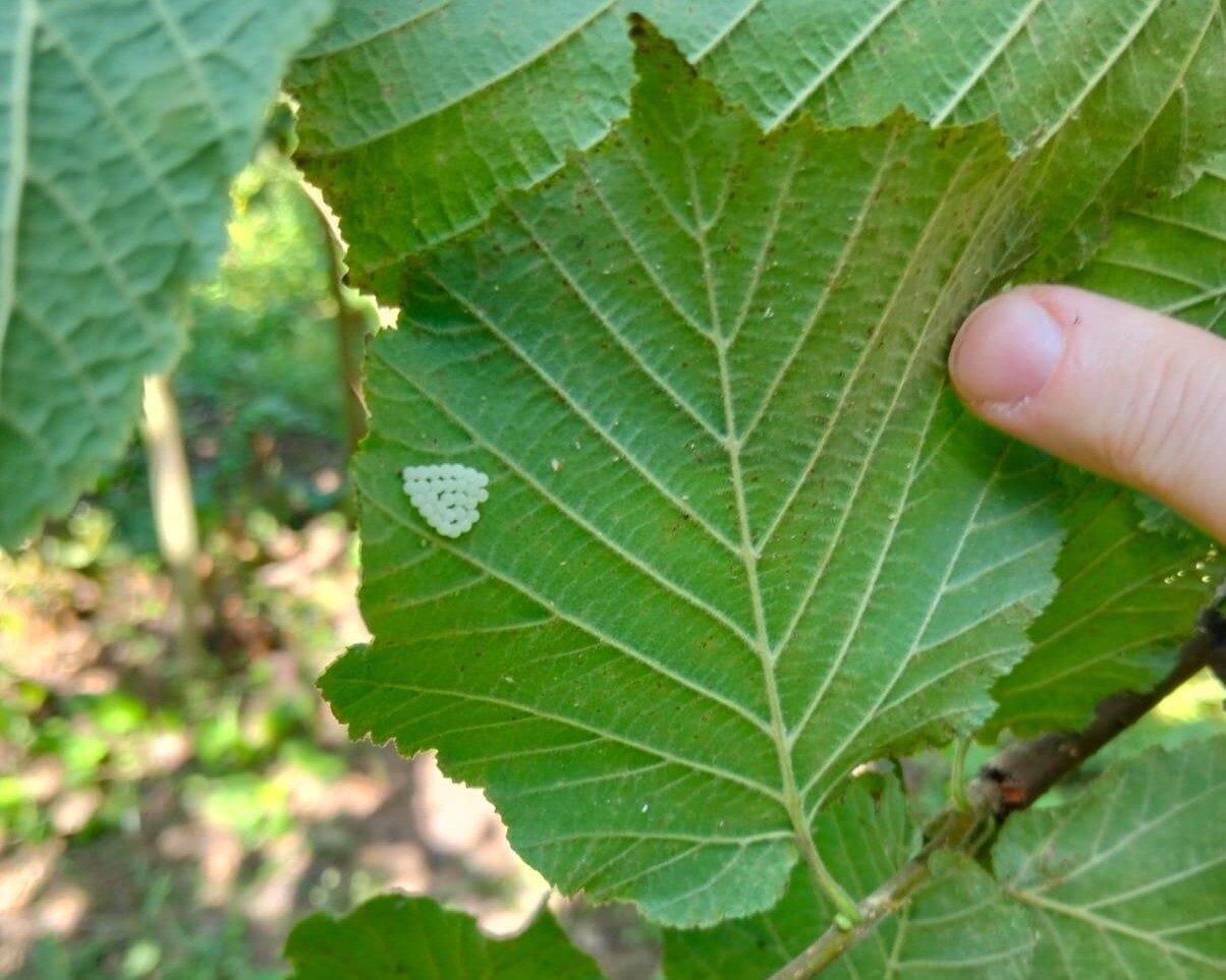 Samsun Büyükşehir Belediye Başkanı Halit Doğan, “2025 yılı itibarıyla hedeflerimizin